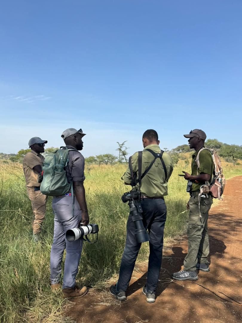 Field guides and photographers in grassland