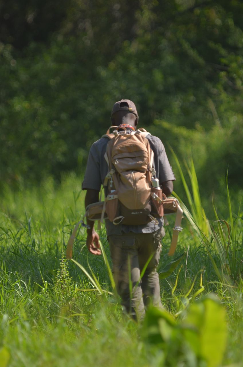 A guide walking through tall grass