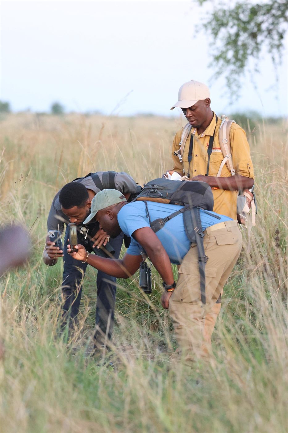 Paius with field photographers in grassland